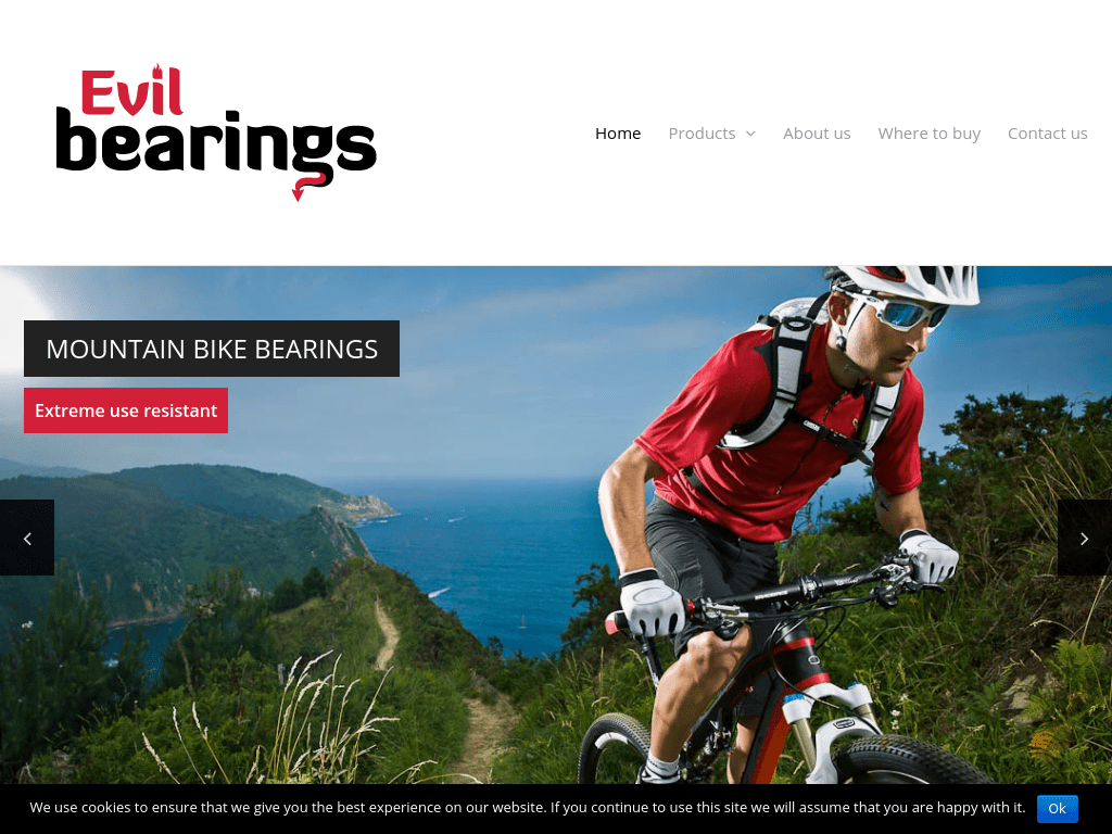 evil-bearings.com